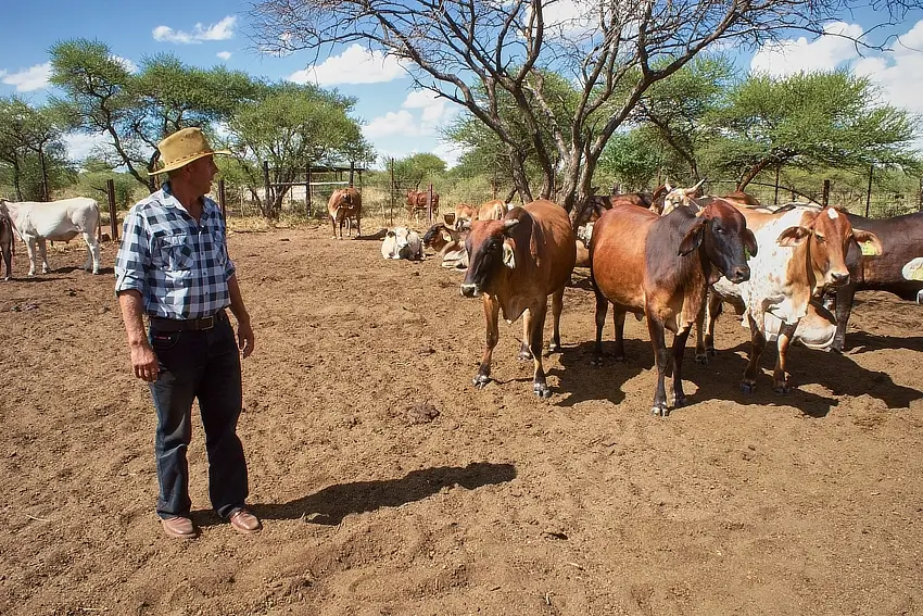 Bracia zakonni w historii werbistów