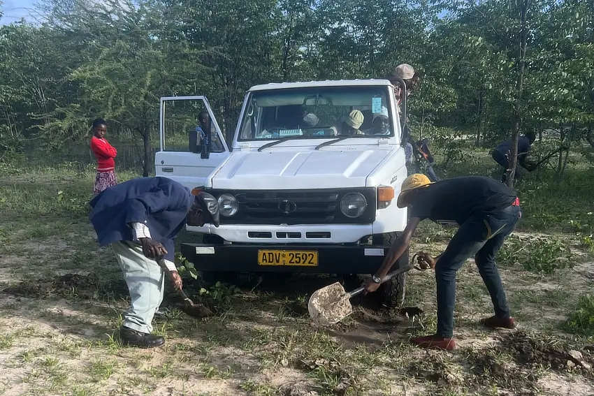 mglodek zimb 122024 10