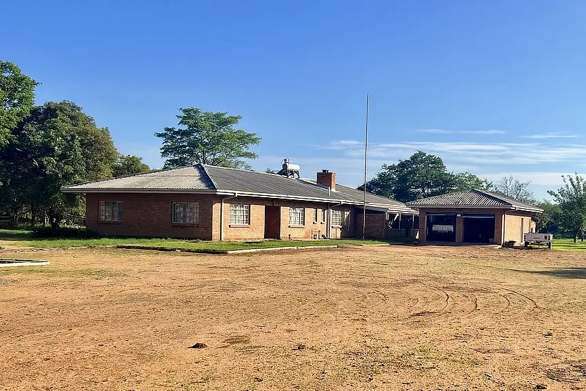 mglodek zimb 122024 10