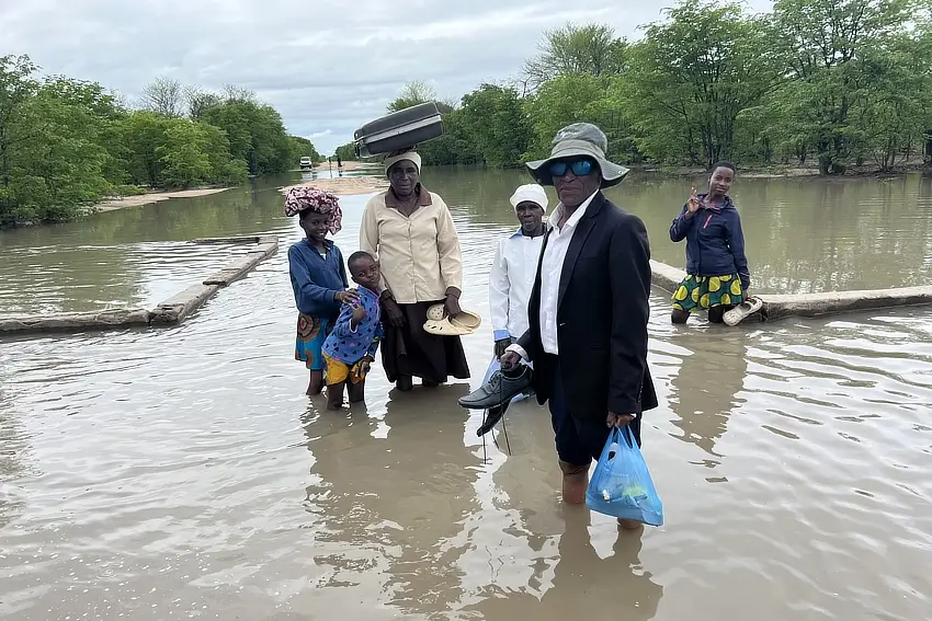 mglodek zimb 122024 10