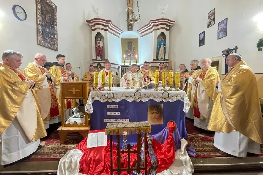 wierzbowiec swmichal10